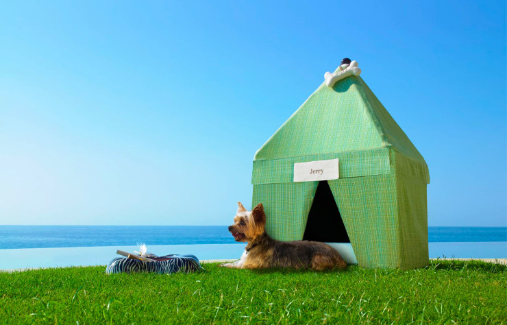 Sur la plage du Ventanas al Paraiso, des cabanas sont spécialement réservées aux boules de poils, tandis qu’un majordome est dédié à leur bien-être.