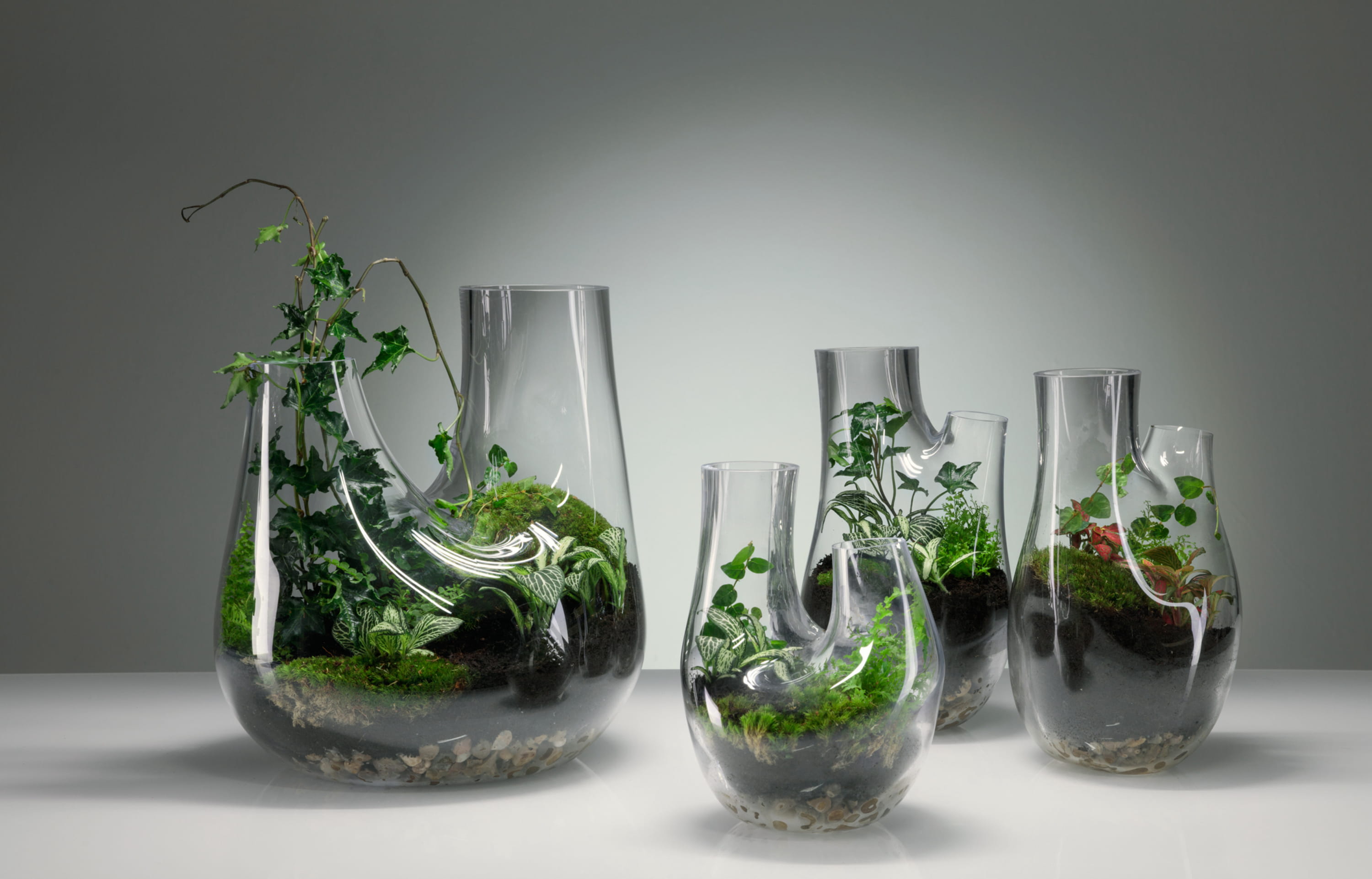 Стеклянный сосуд сложной. Необычные стеклянные вазы. Оригинальные вазы для цветов. Дизайнерская стеклянная ваза. Цветочные композиции в стеклянных сосудах.