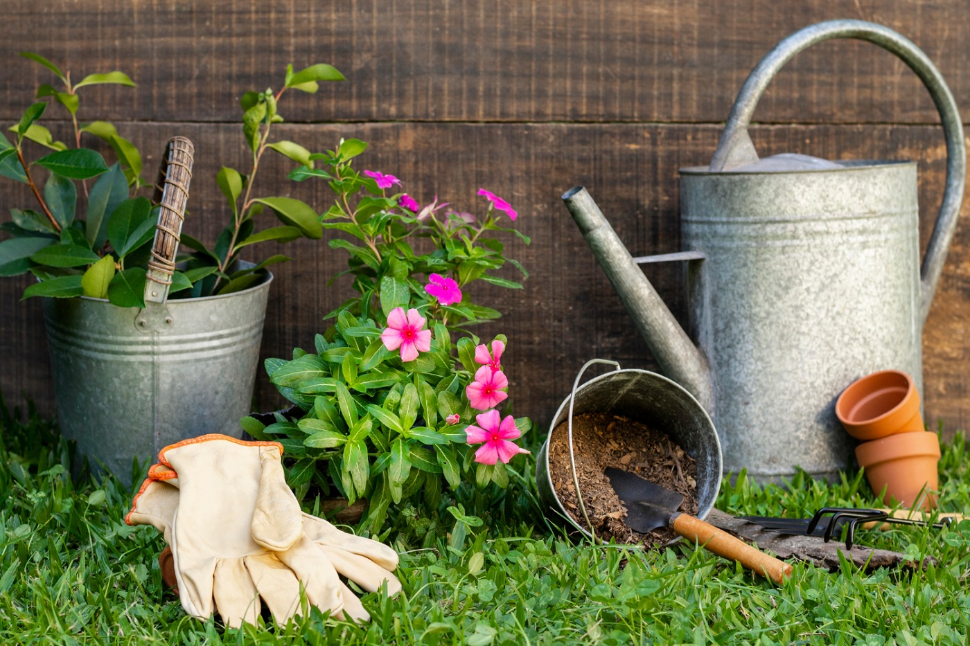 Aménagement petit jardin pas cher : 6 astuces ingénieuses
