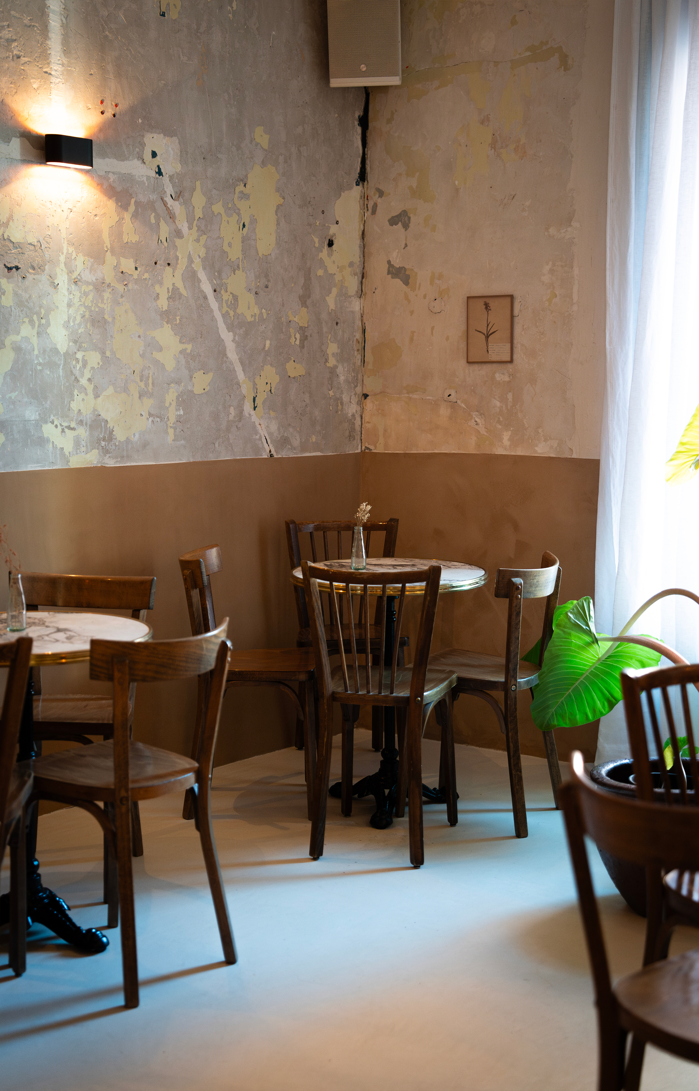 Nice : les meilleurs spots food anti-attrape-touristes - Povera - IDEAT