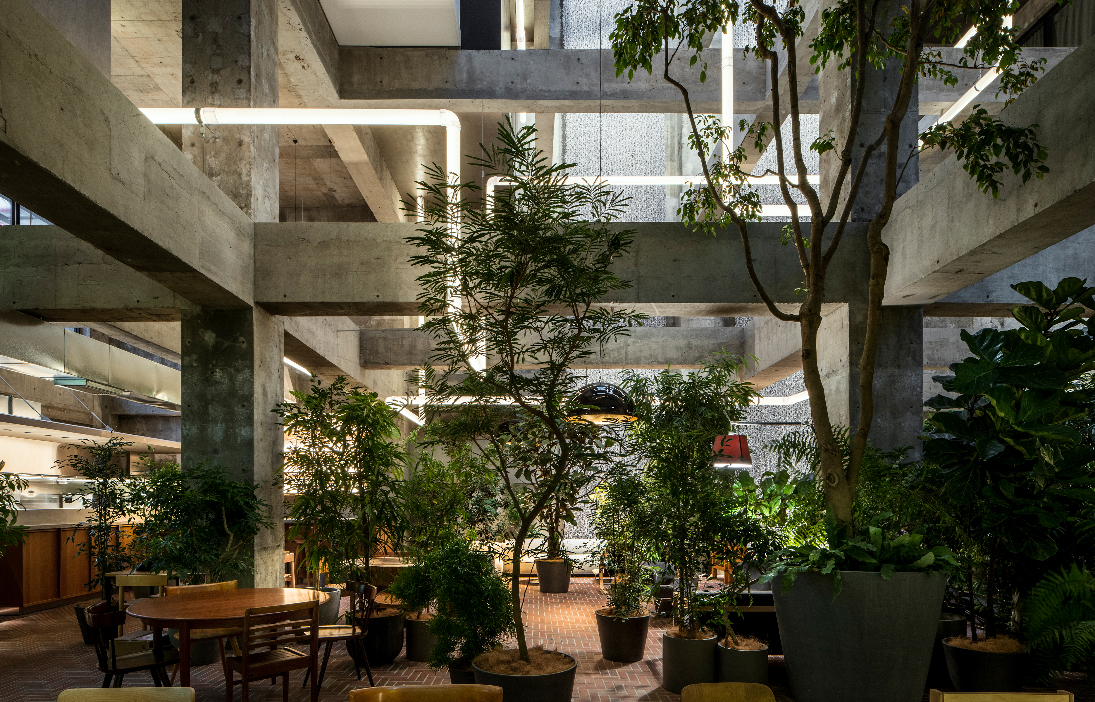 Portrait : Sou Fujimoto, poète de l’urbanisme blanc et des formes organiques