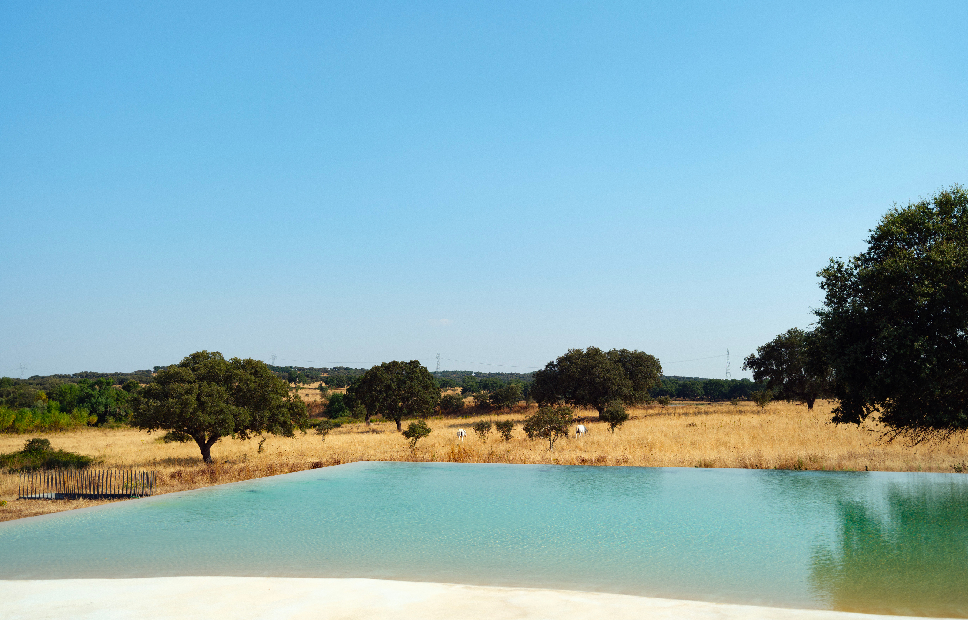 Casa no Tempo : poétique du vide et leçon de lumière