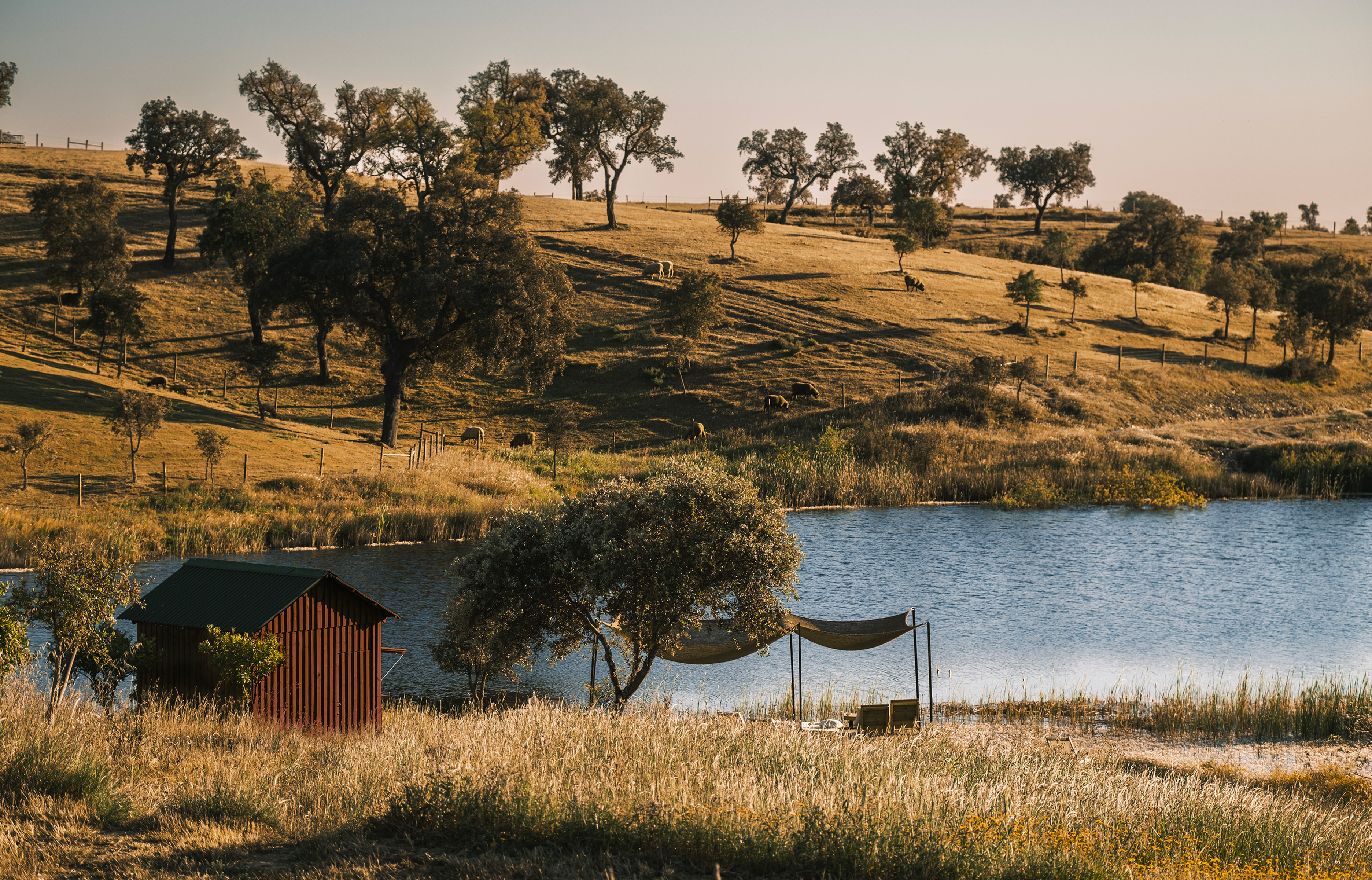 Cucumbi Farm : la simplicité comme manifeste d’élégance