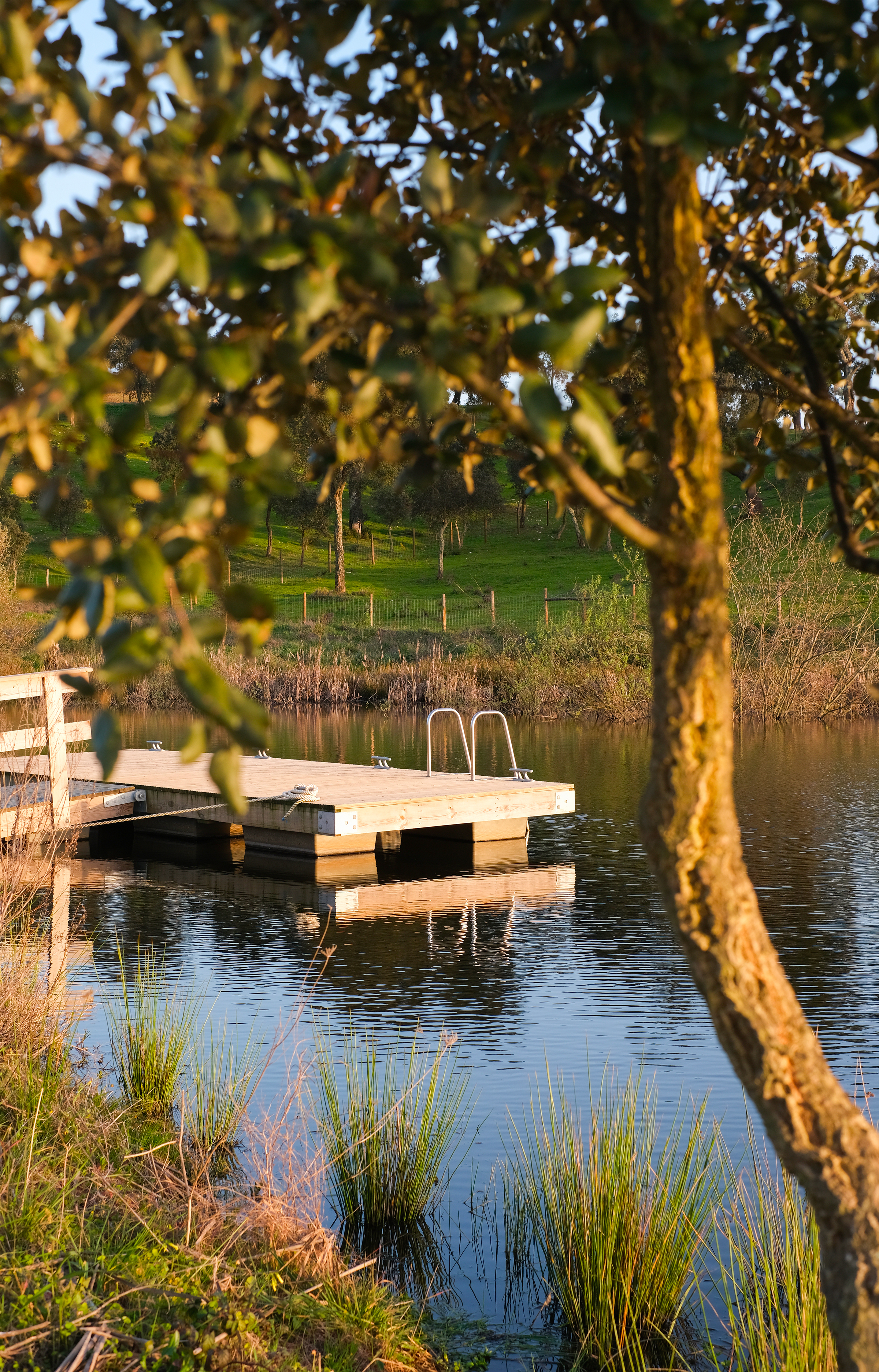 Cucumbi Farm : la simplicité comme manifeste d’élégance