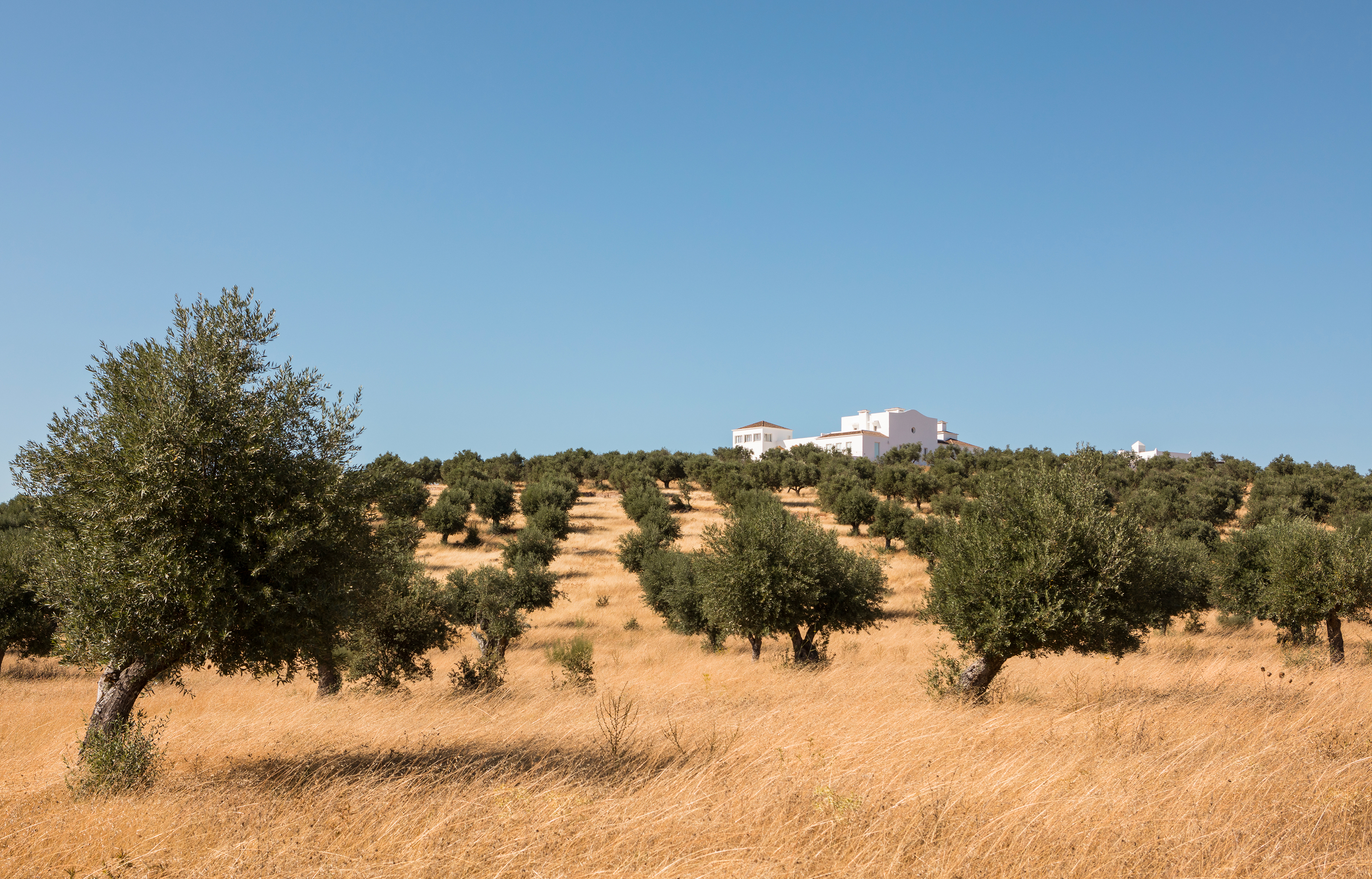 Dá Licença : l’art et la chaux font maison commune