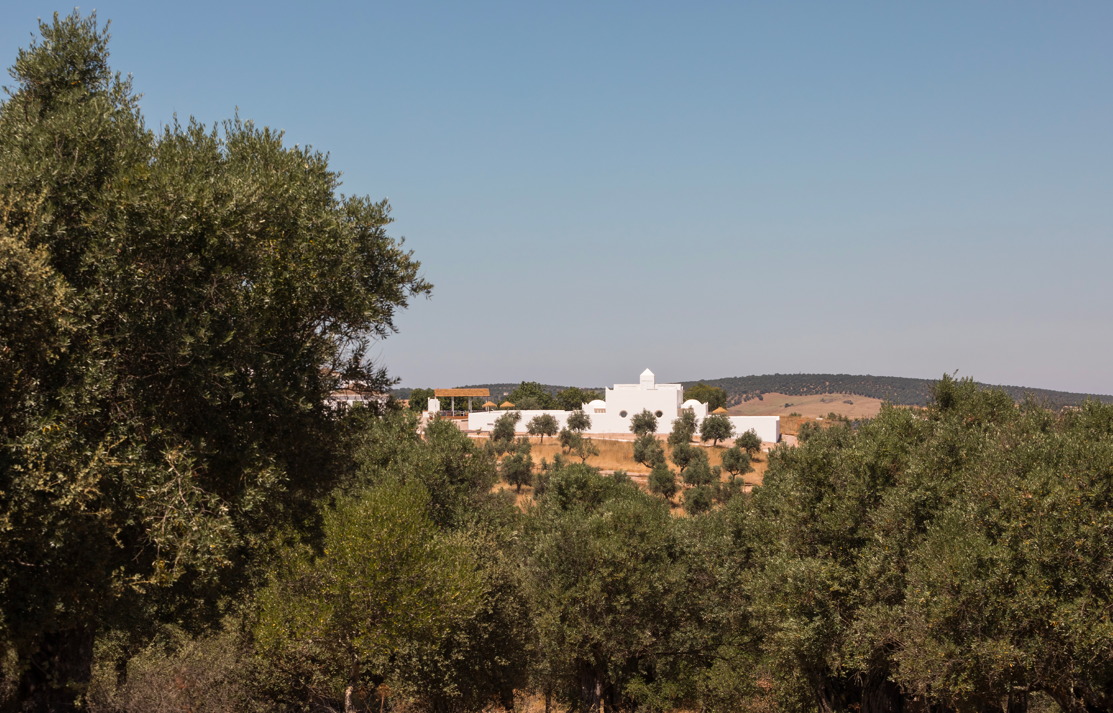 Dá Licença : l’art et la chaux font maison commune