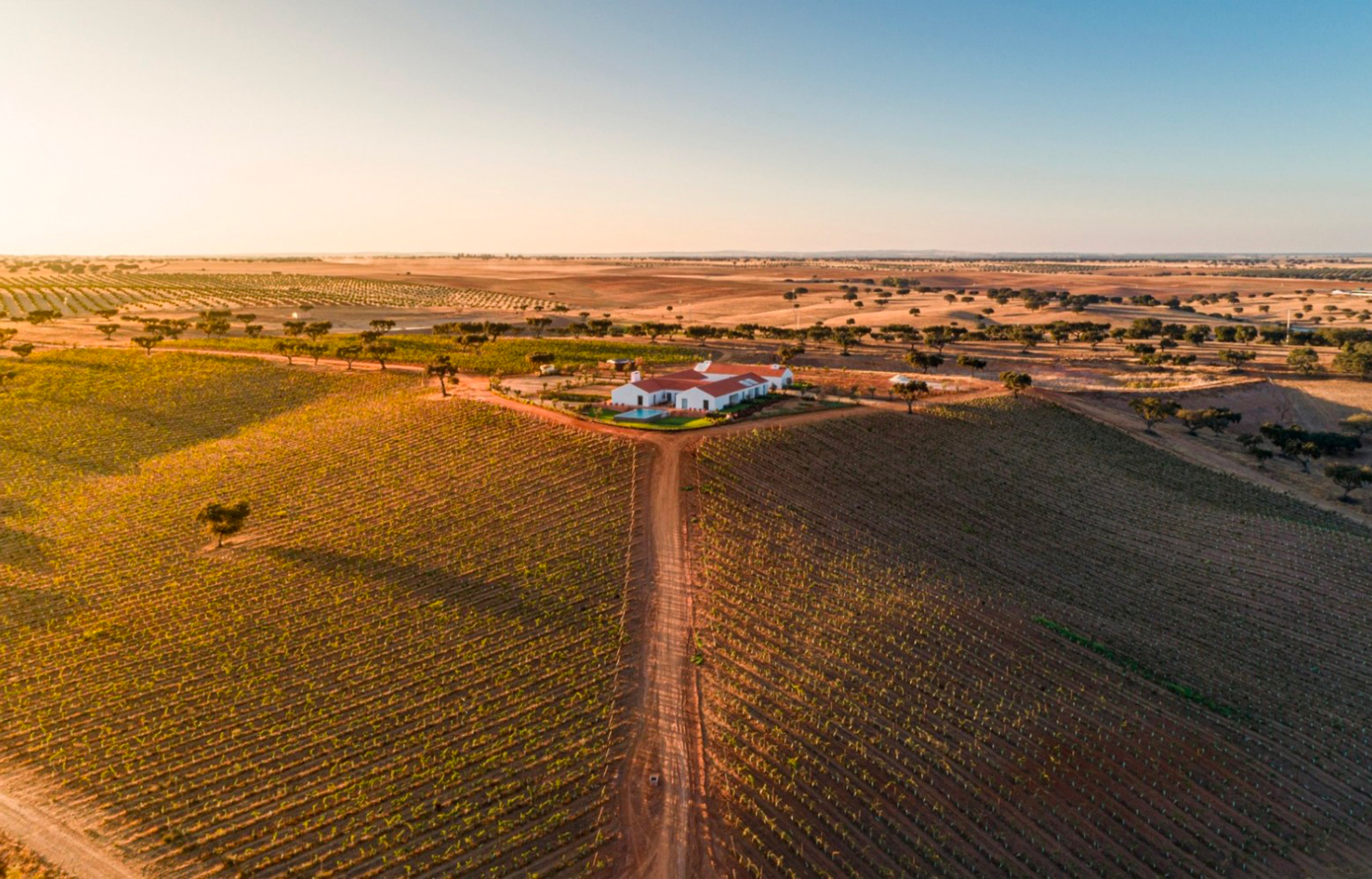 Herdade da Malhadinha Nova, entre design, terroir et vins solaires
