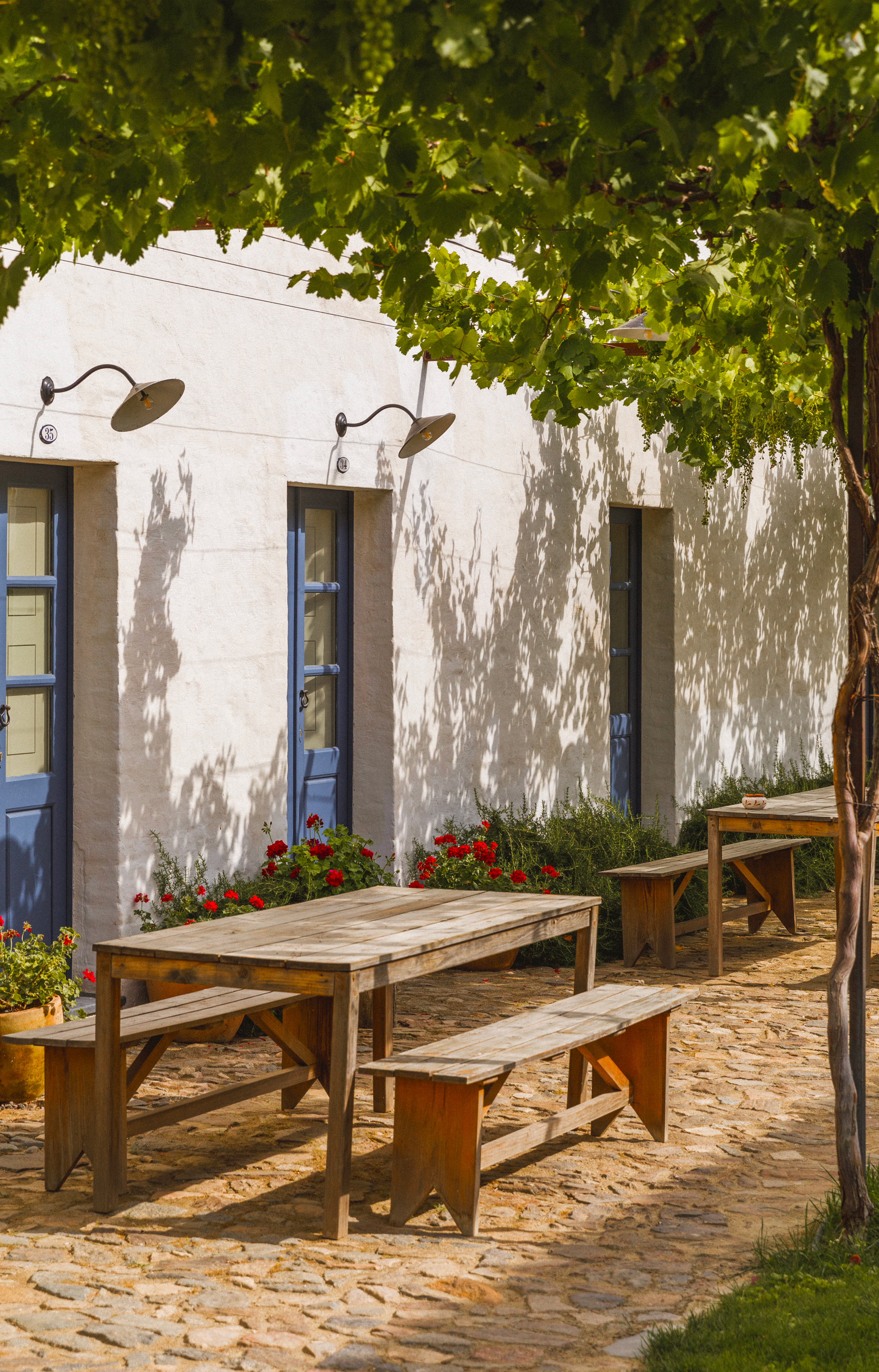 São Lourenço do Barrocal : le luxe rural prend racine