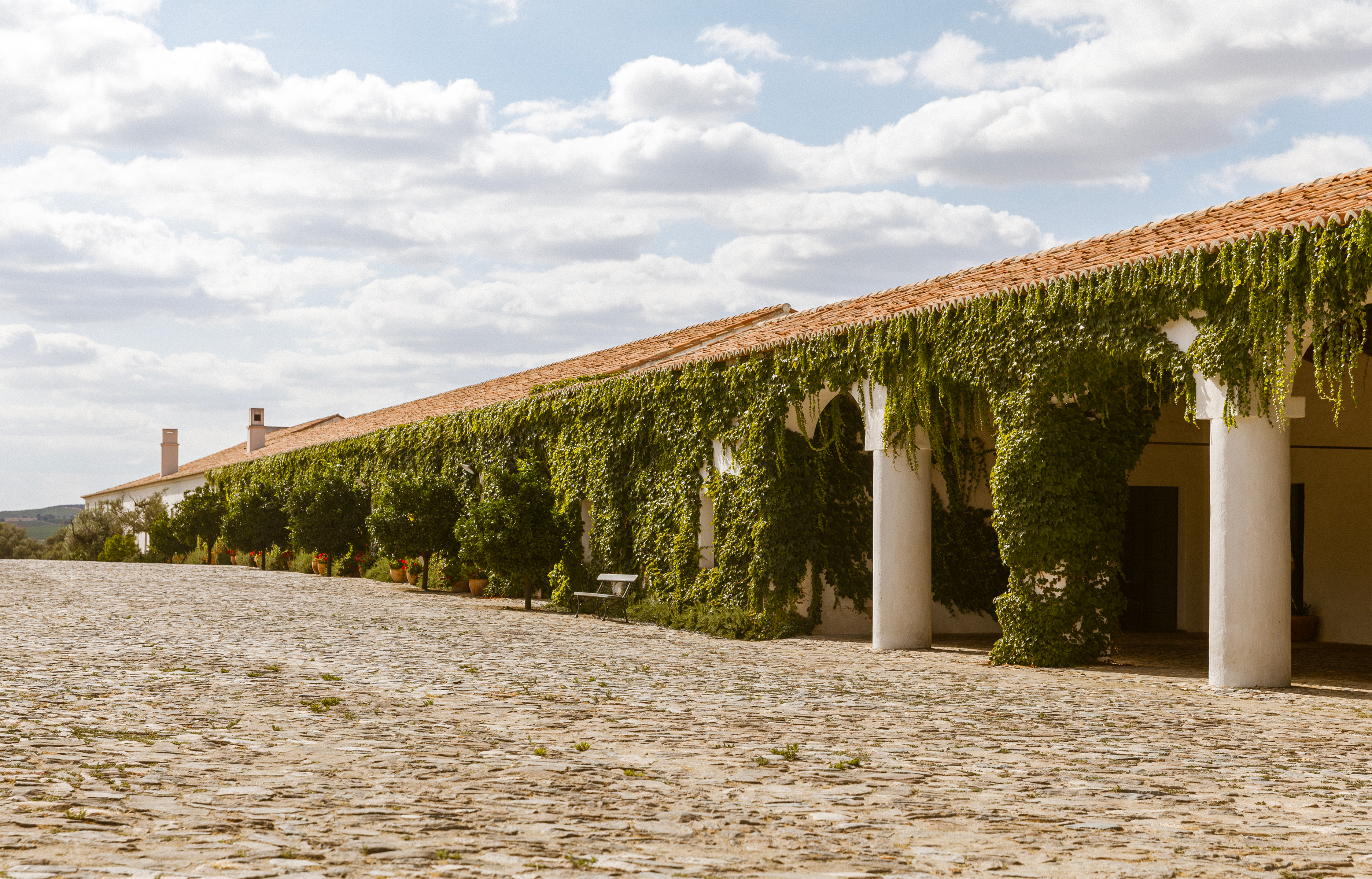 São Lourenço do Barrocal : le luxe rural prend racine