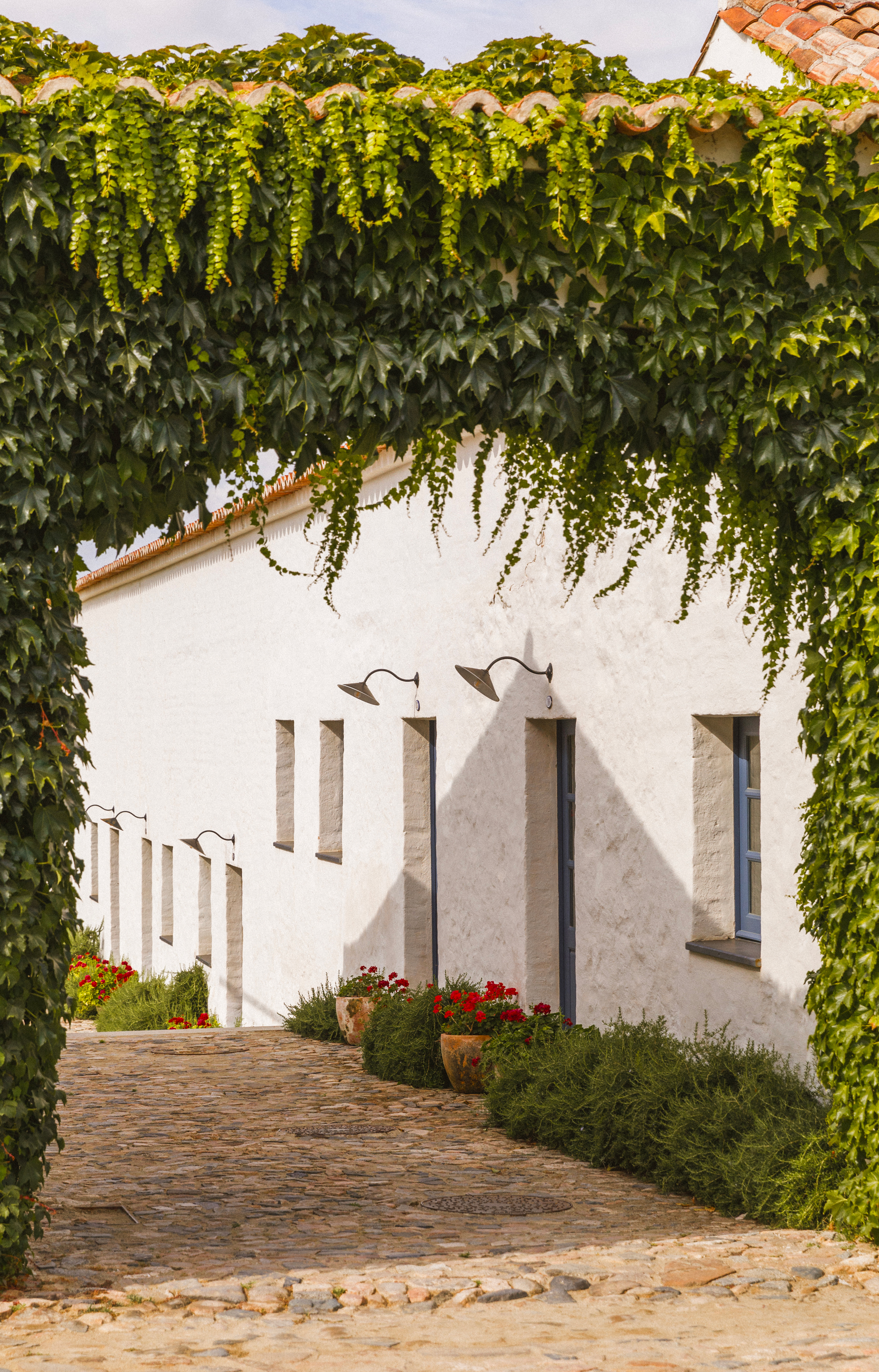 São Lourenço do Barrocal : le luxe rural prend racine