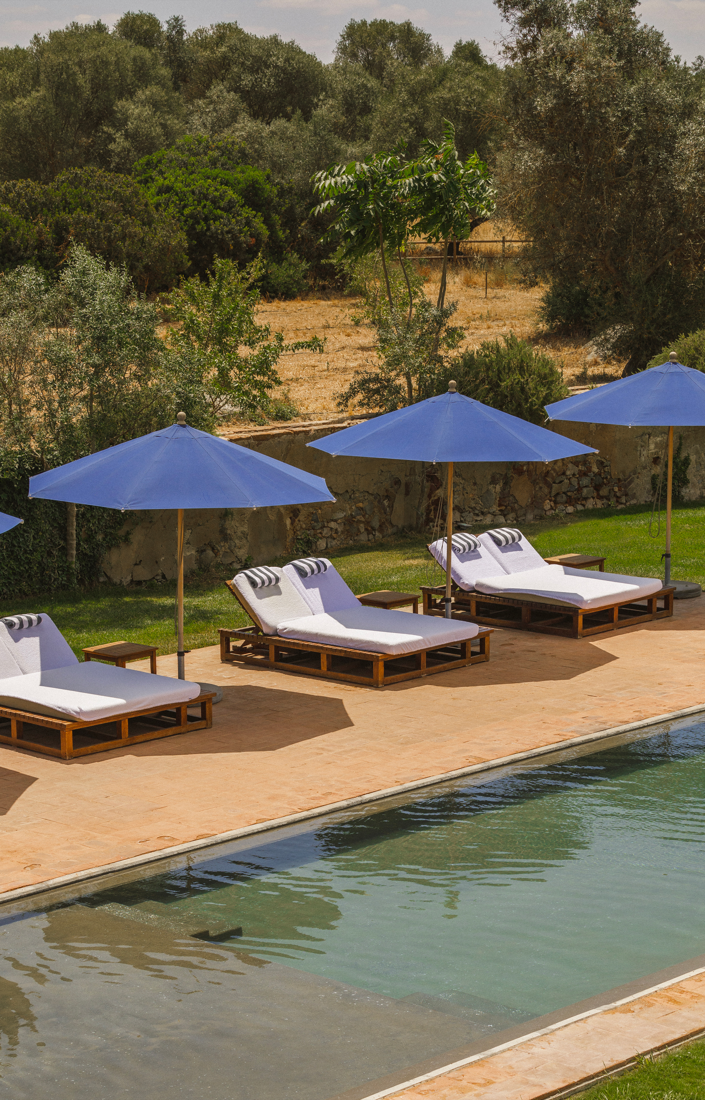 São Lourenço do Barrocal : le luxe rural prend racine