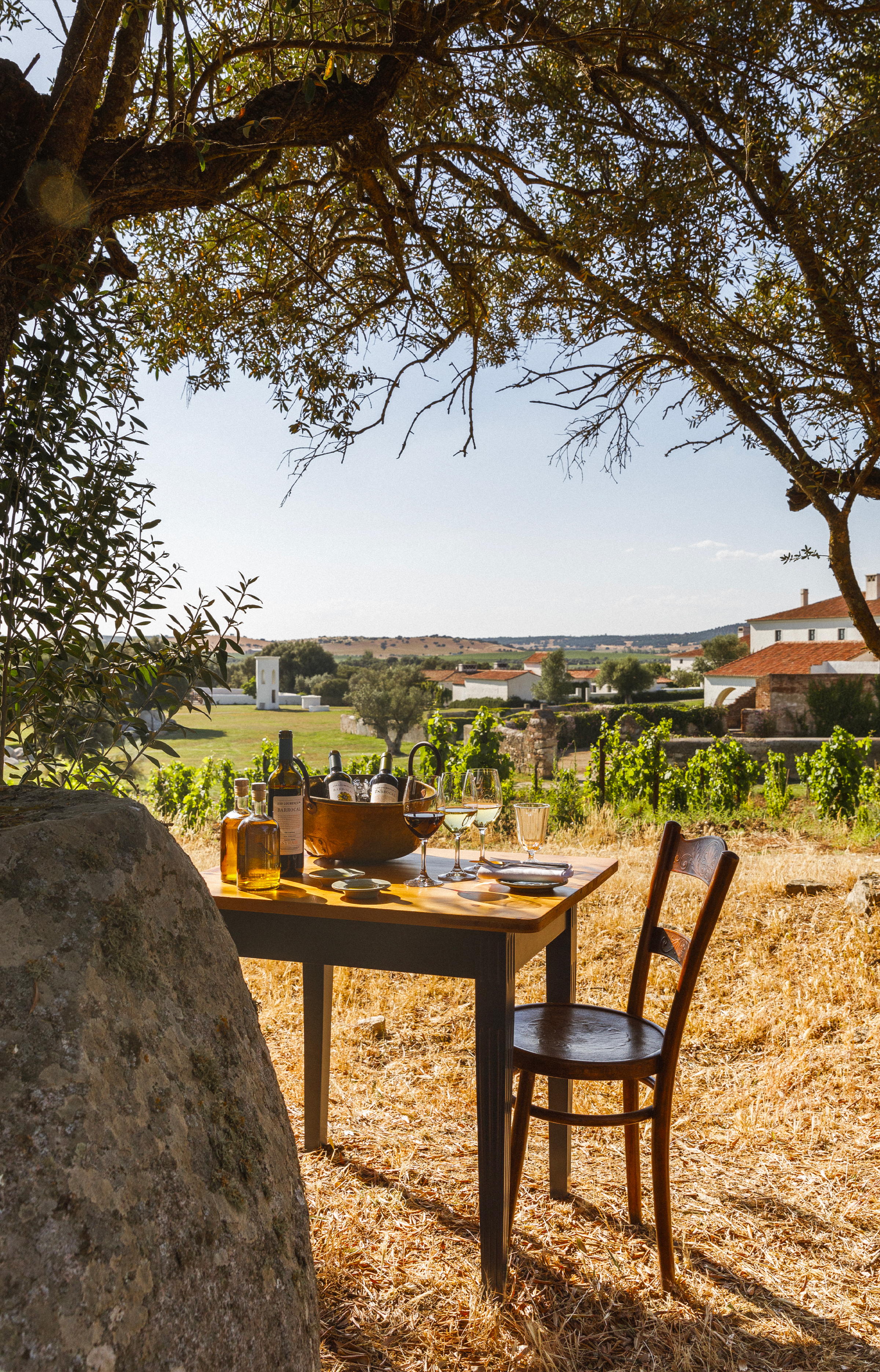 São Lourenço do Barrocal : le luxe rural prend racine
