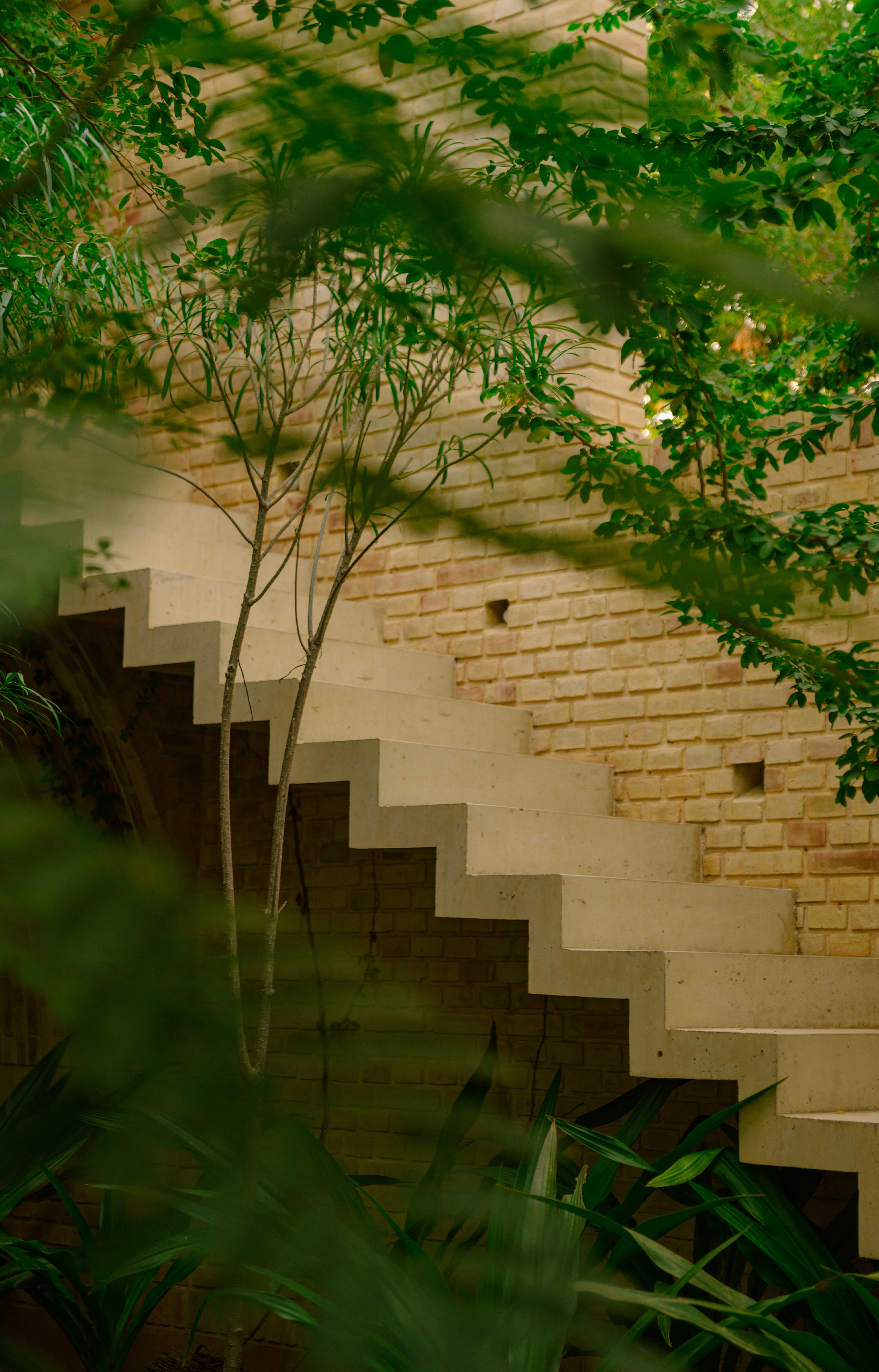Casona Sforza : Une architecture organique face à l’océan
