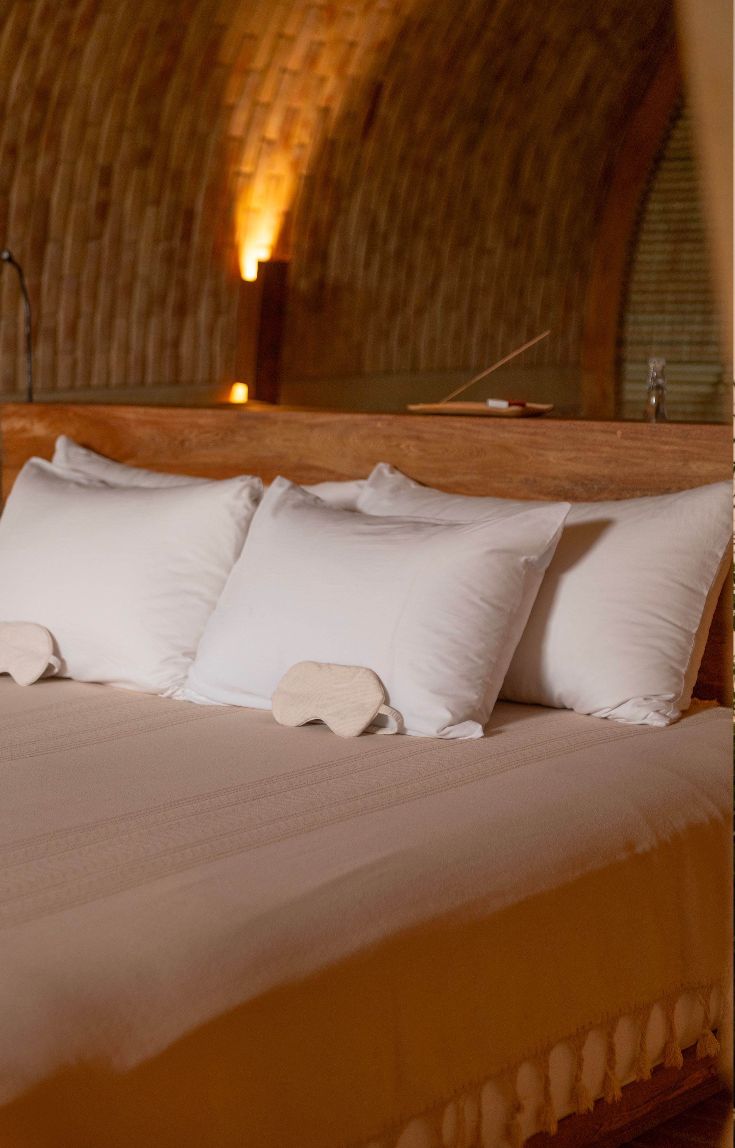 Casona Sforza : Une architecture organique face à l’océan