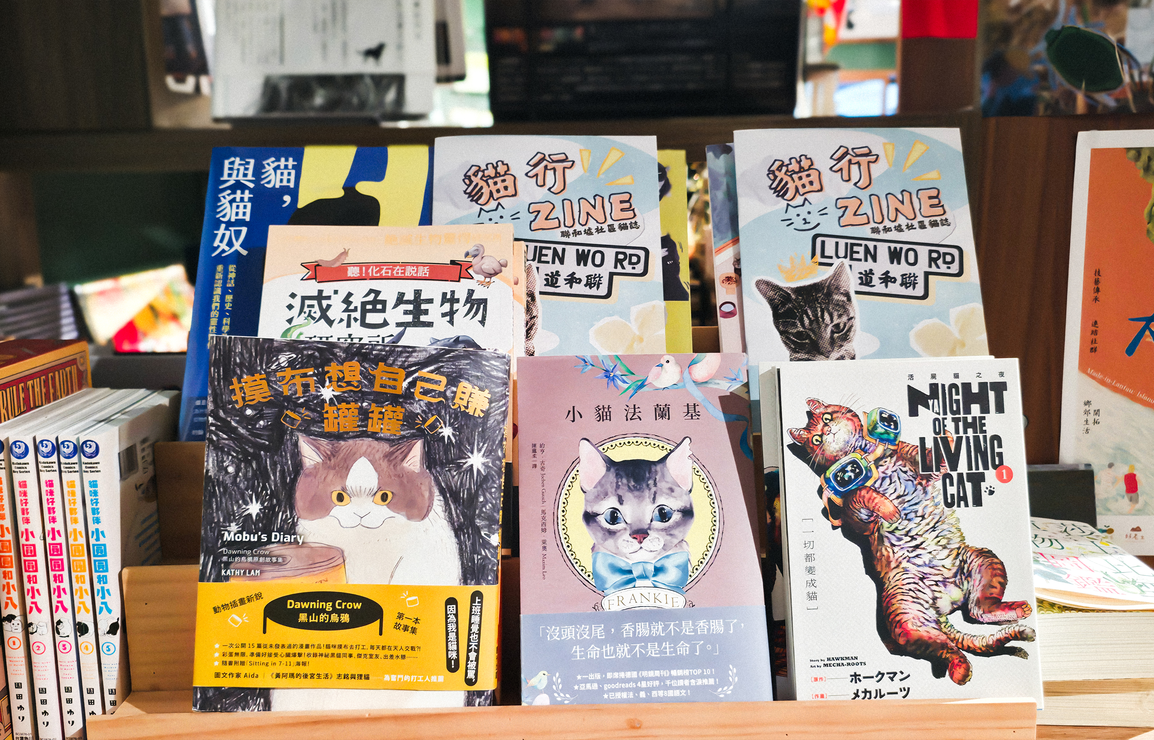 City guide - Sham Shui Po le Hong Kong des faux touristes et vrais locaux